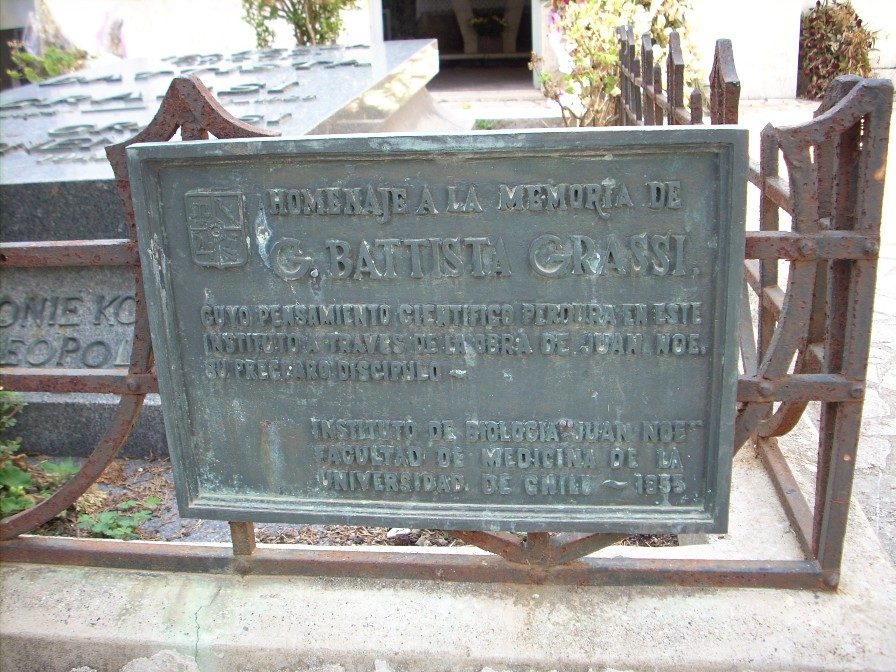 Giovanni Battista Grassi's tomb, Fiumicino, Rome - 15.JPG
